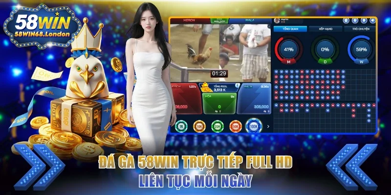 Đá gà 58WIN trực tiếp full HD liên tục mỗi ngày