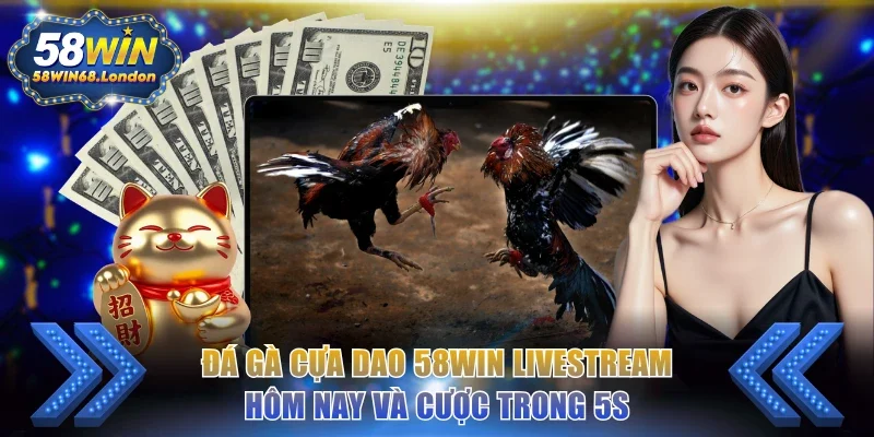 đá gà cựa dao