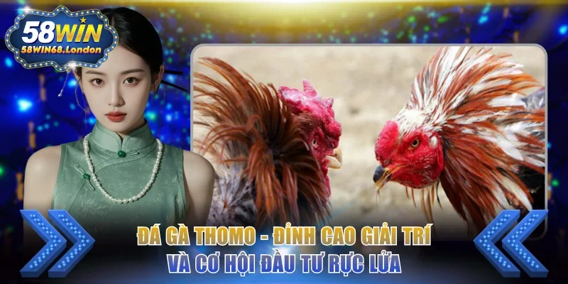 Đá gà Thomo