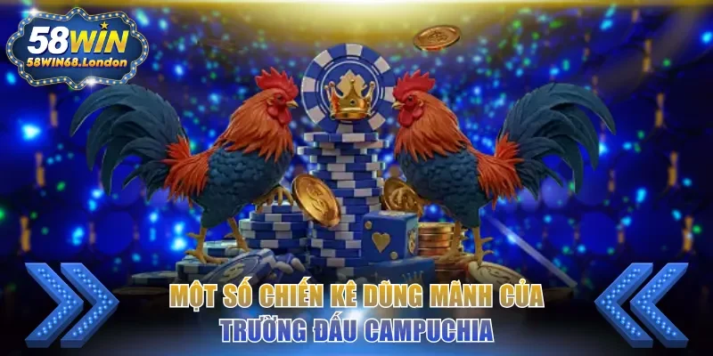 Một số chiến kê dũng mãnh của trường đấu Campuchia