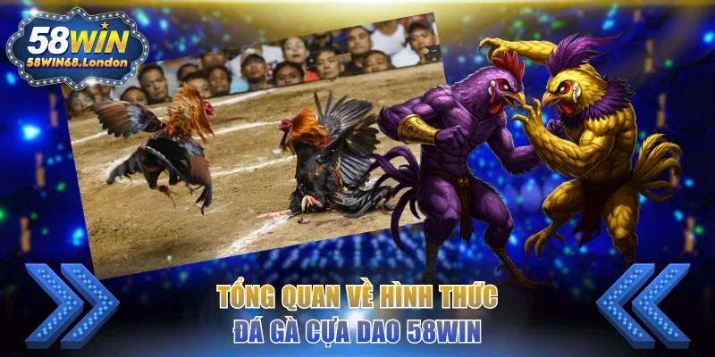 Tổng quan về hình thức đá gà cựa dao 58WIN
